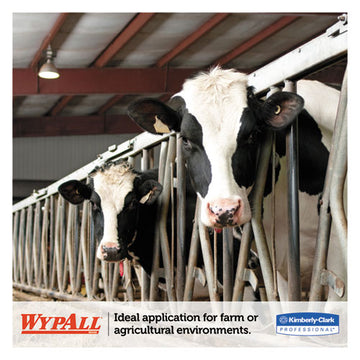WypAll® L10 Sani-prep Dairy Towels, Banded, 1-ply, 10 1-2 X 9 3-10, 200-pk, 12 Pk-carton freeshipping - TVN Wholesale